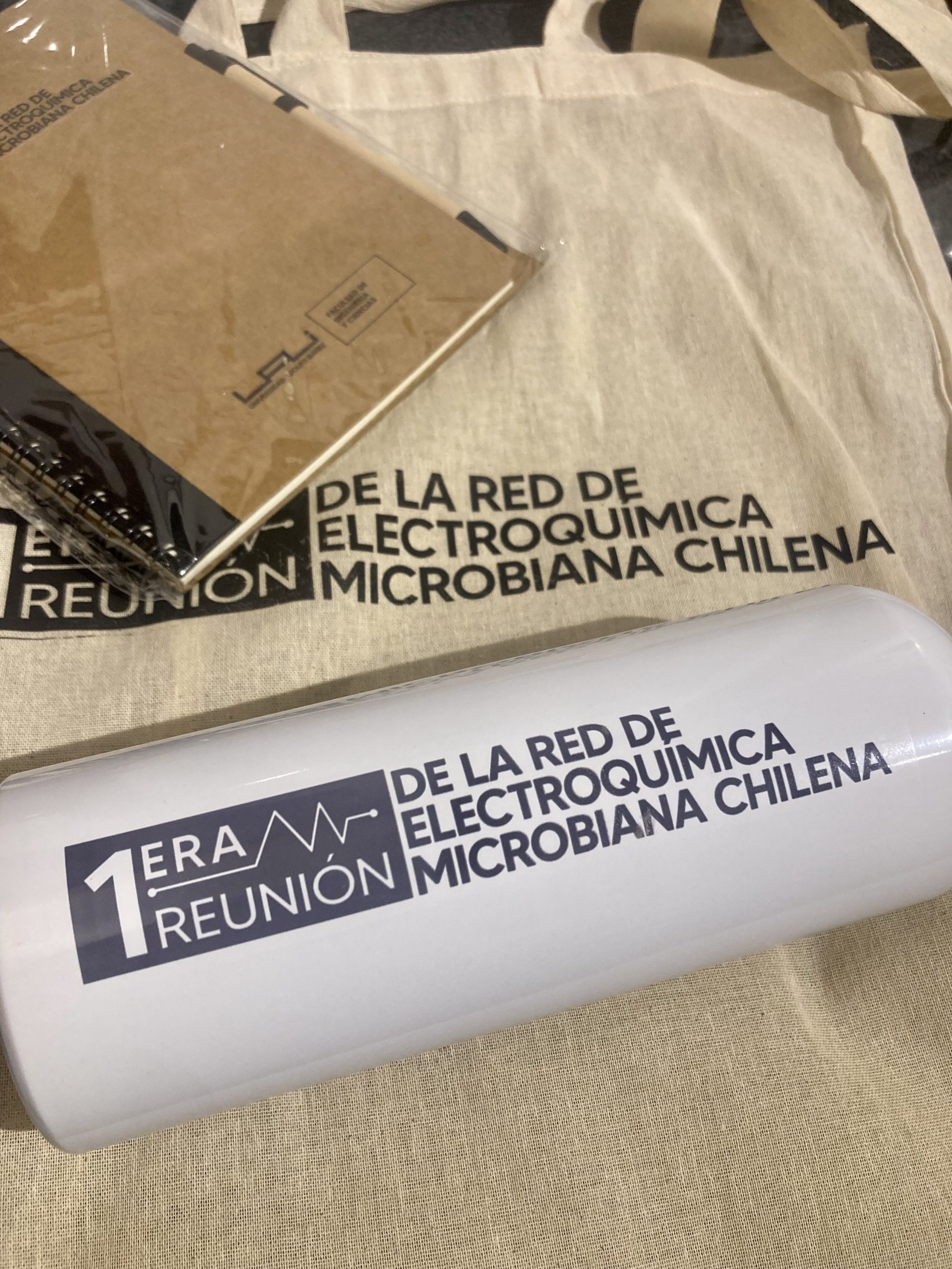 Primera reunión de la Red de Electroquímica Microbiana Chilena